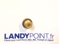 ERR4686B - Brass Radiator Plug with "O" Ring - Defender / Discovery / Range Rover Classic / Land Rover Series